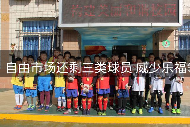 自由市场还剩三类球员 威少乐福领衔失业大军？
